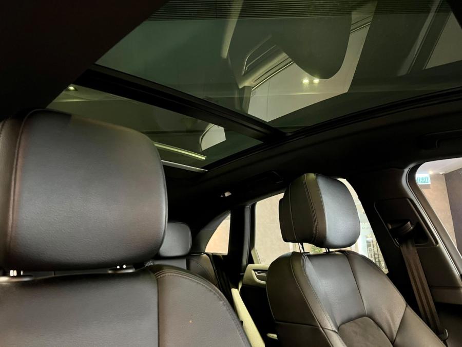 Macan - Image 6